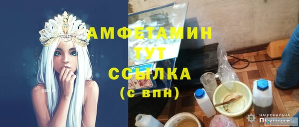 соль ск Каменка