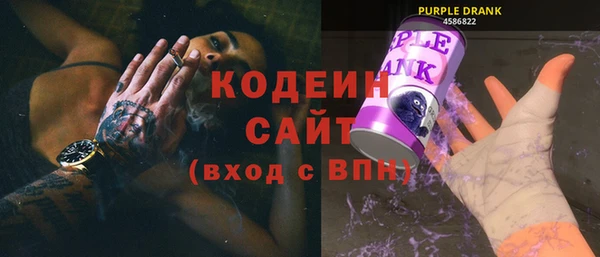 соль ск Каменка