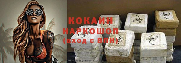 соль ск Каменка