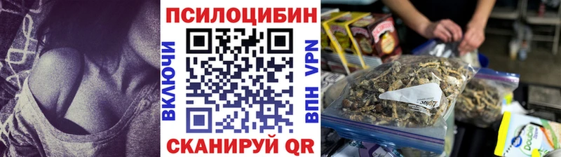 Псилоцибиновые грибы мухоморы Нововоронеж